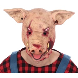 12161