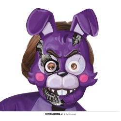 20068