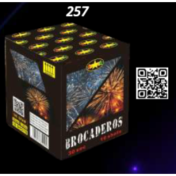 capture_dcran_2025-11-11_042555